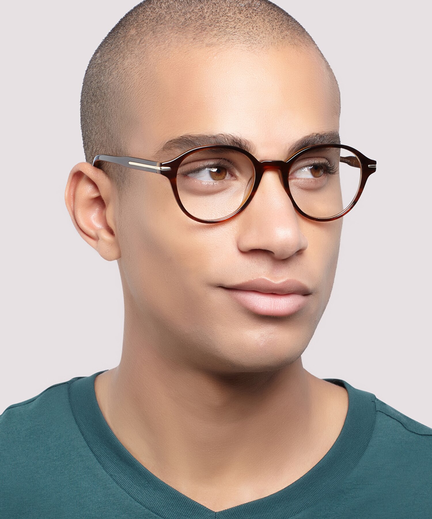 Canary Shiny Brown Horn AcetateEyeglass Frames for Men for Glasses Direct