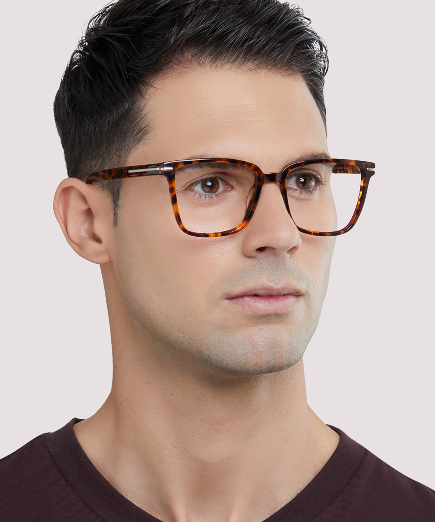Balham Shiny Havana & Gold AcetateEyeglass Frames for Men for Glasses Direct