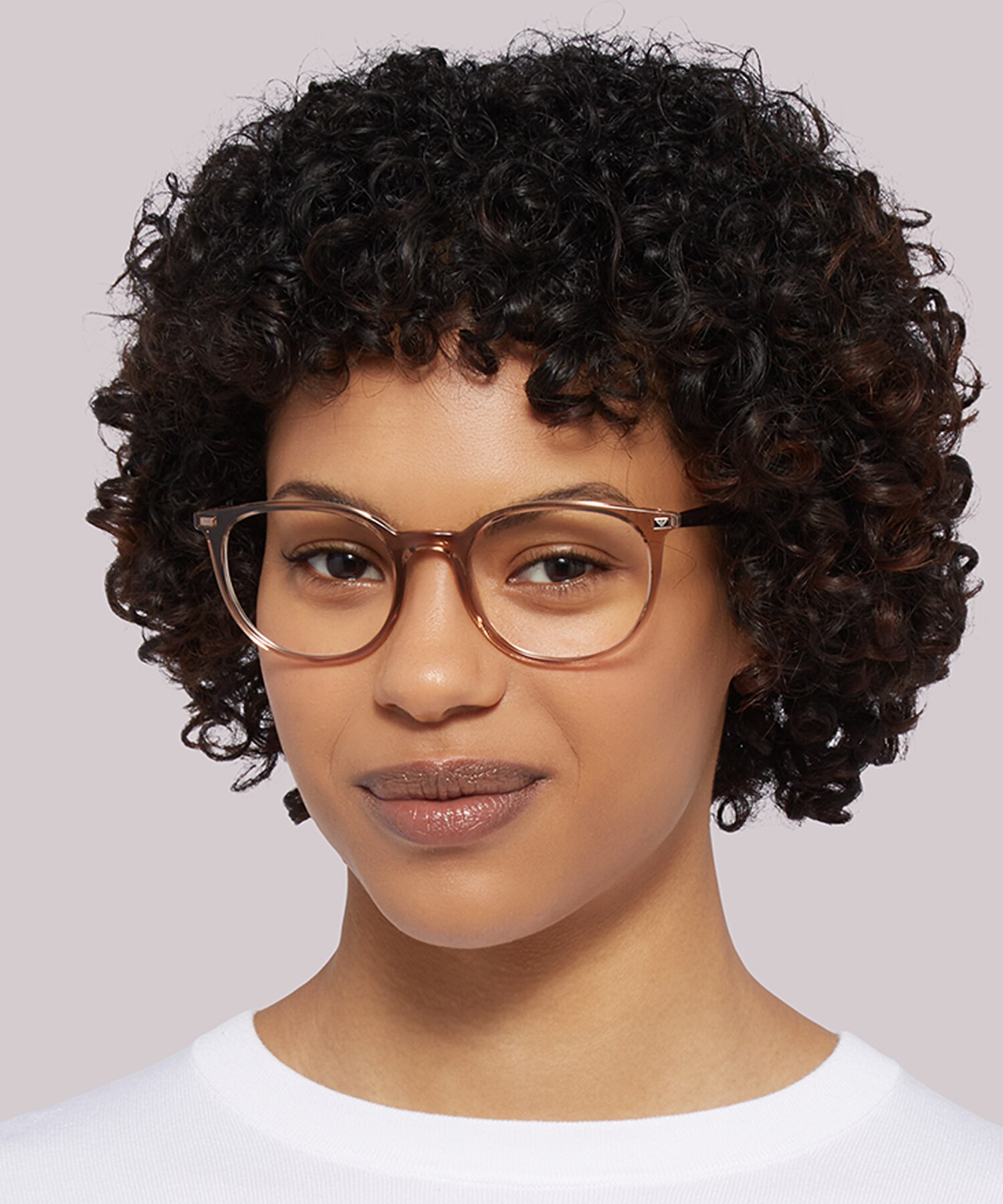 EA3168 Shiny Transparent Tundra PlasticEyeglass Frames for Women for Glasses Direct