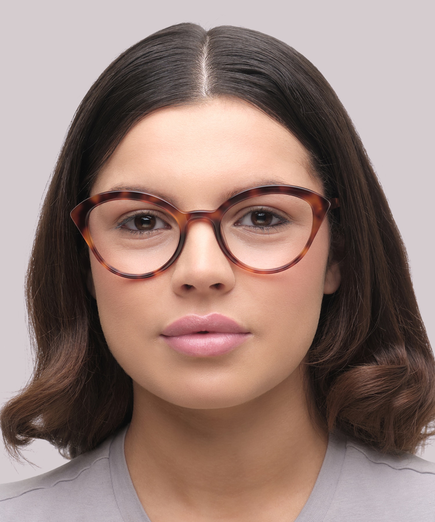 Harley Havana AcetateEyeglass Frames for Women for Glasses Direct