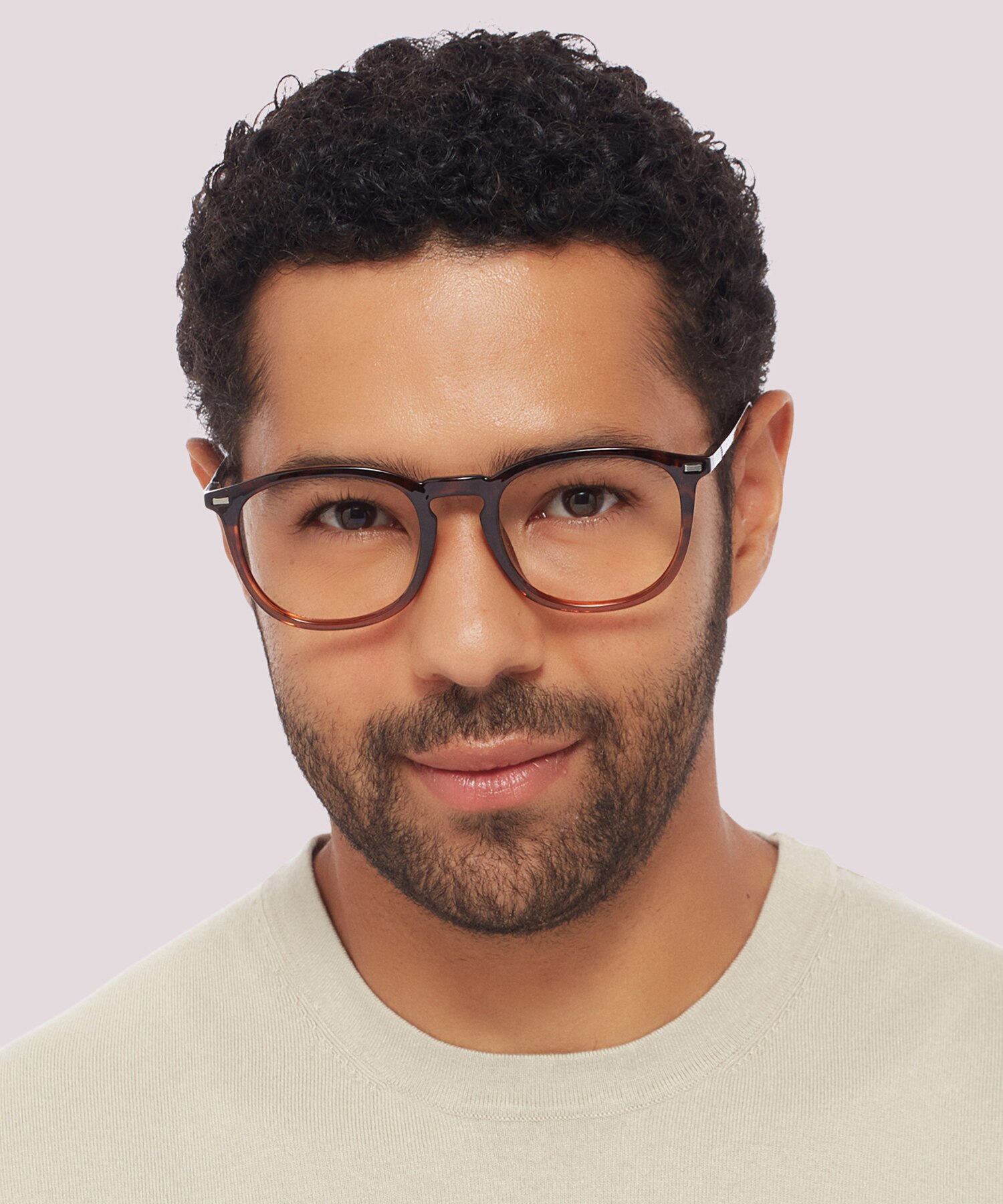 PLD D431/F Tortoise PlasticEyeglass Frames for Men for Glasses Direct
