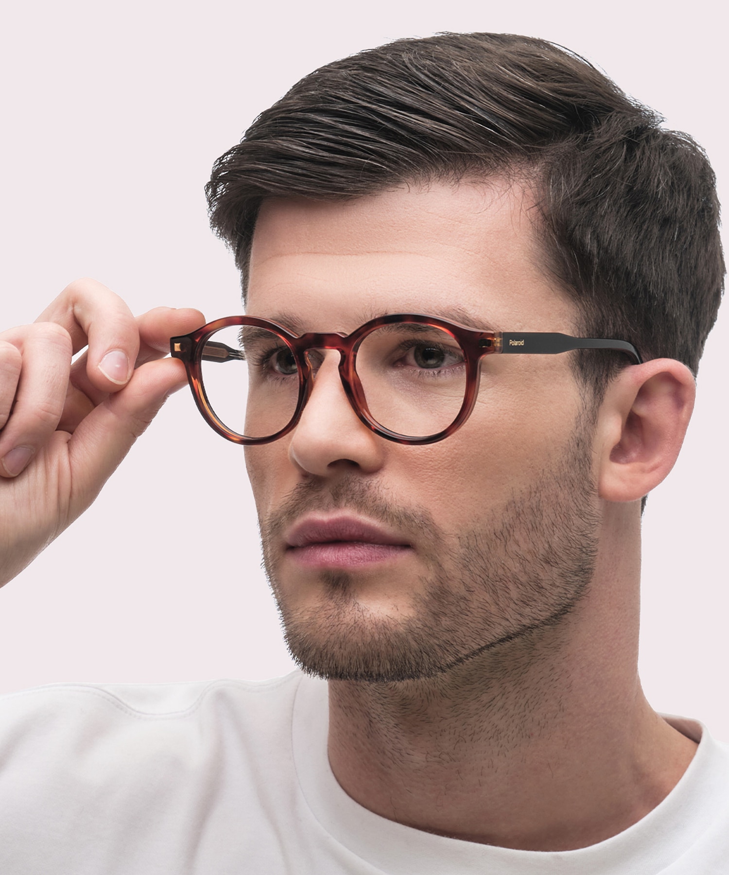 PLD D492 Tortoise PlasticEyeglass Frames for Men for Glasses Direct