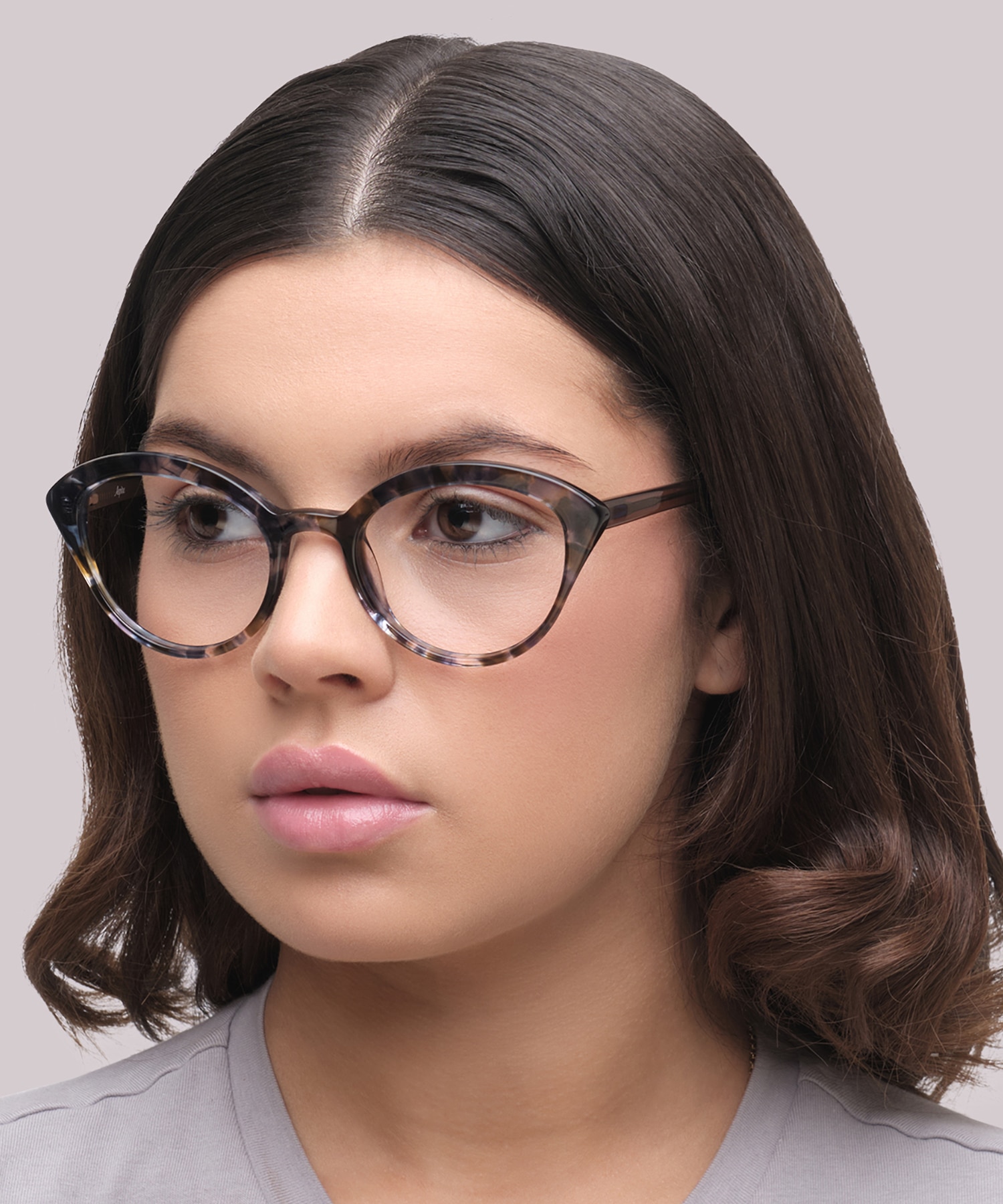 Harley Blue Brown Havana AcetateEyeglass Frames for Women for Glasses Direct