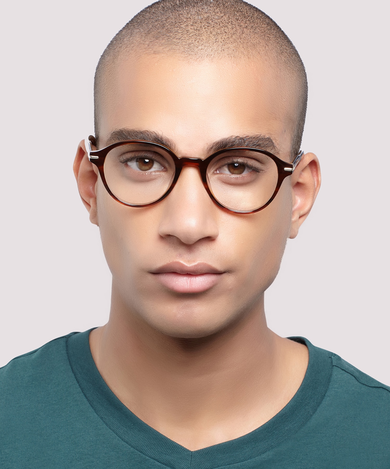 Canary Shiny Brown Horn AcetateEyeglass Frames for Men for Glasses Direct