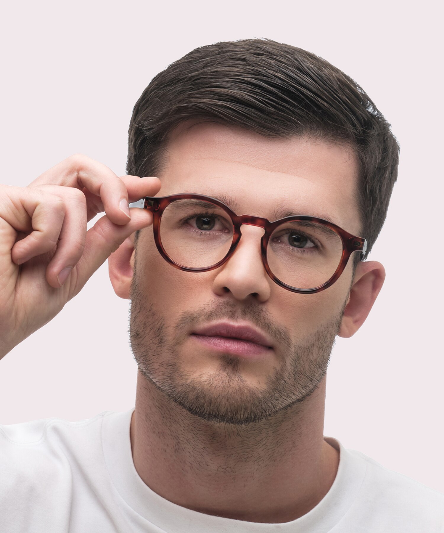 PLD D492 Tortoise PlasticEyeglass Frames for Men for Glasses Direct