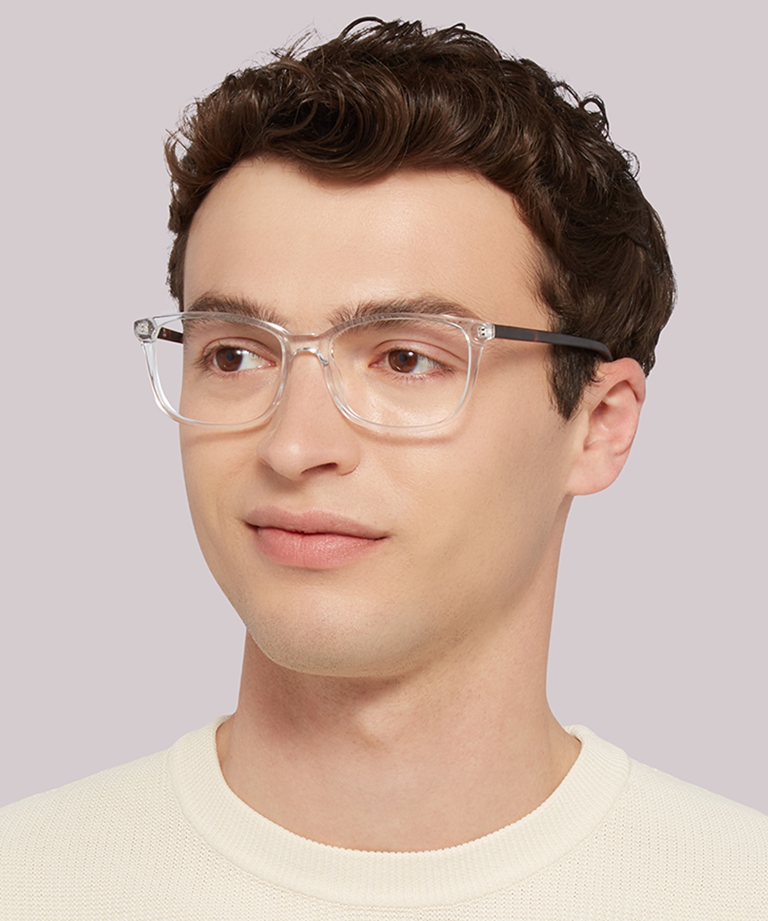 Willow Crystal AcetateEyeglass Frames for Men for Glasses Direct