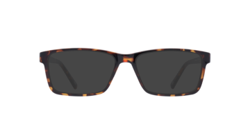 Havana Doran -  Plastic Sunglasses