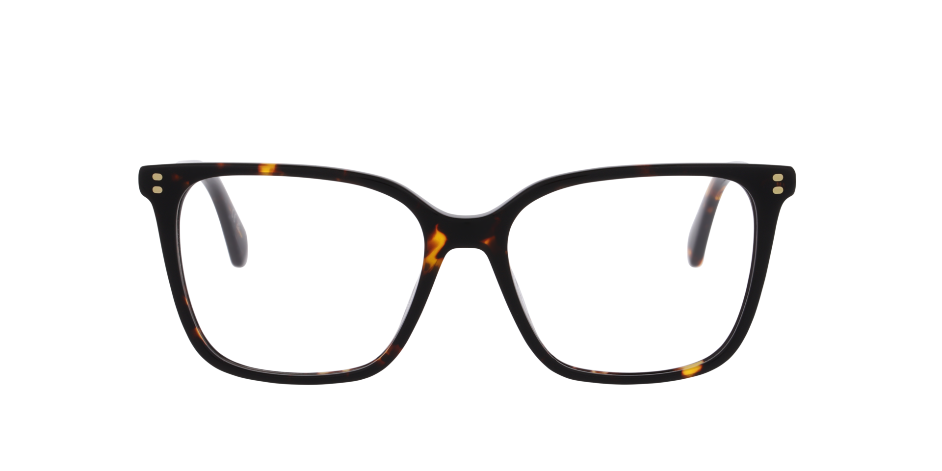 Tortoise PLD D606 -  Acetate