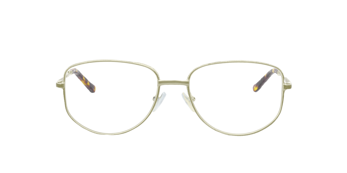 Shiny Gold pilot Metal eyeglasses Online - Full Rim - Monk