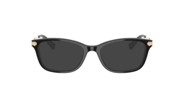Black HC6142 -  Acetate Sunglasses