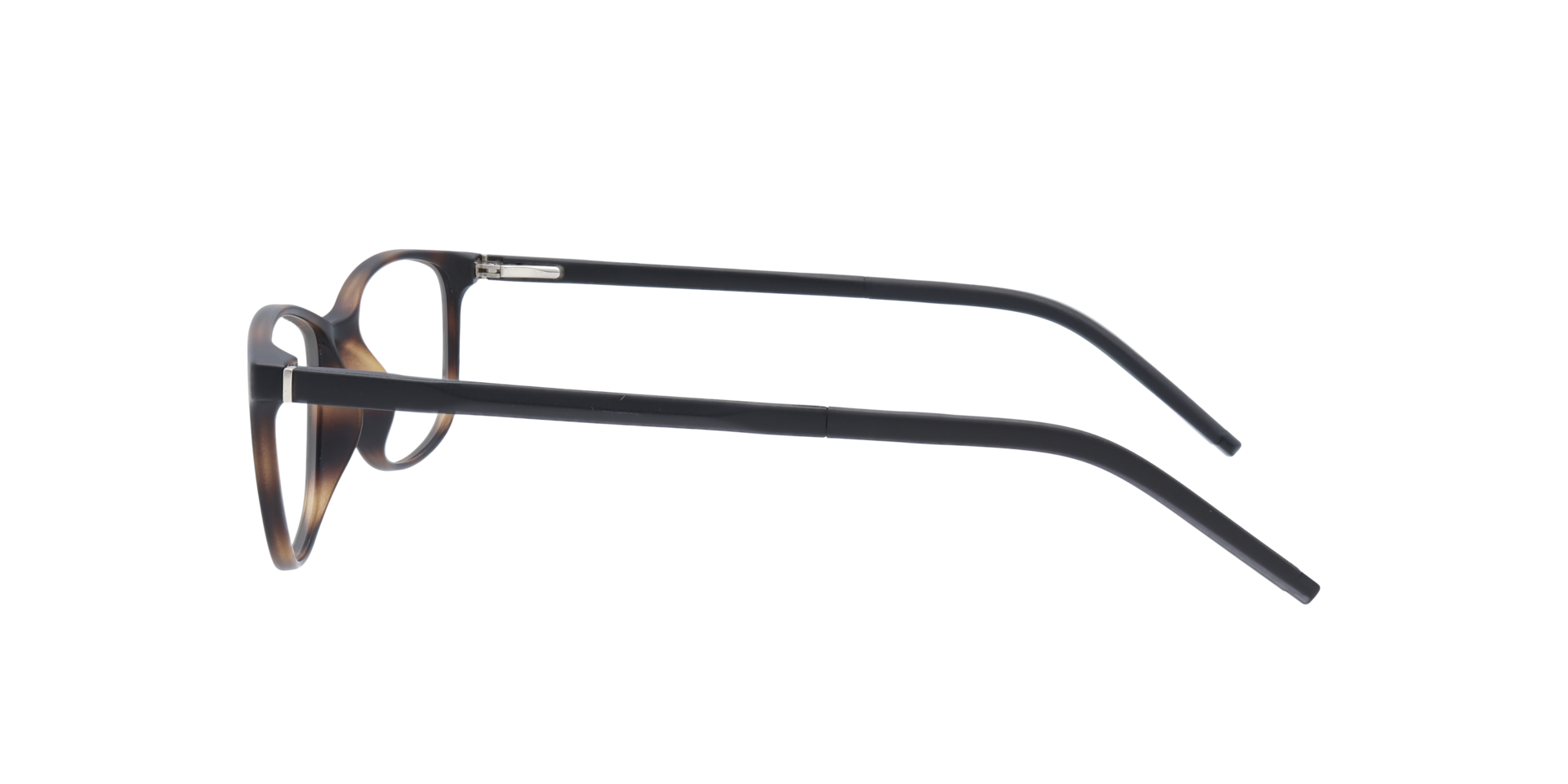 Elaine Tortoise PlasticSunglass Frames for Glasses Direct, Side View