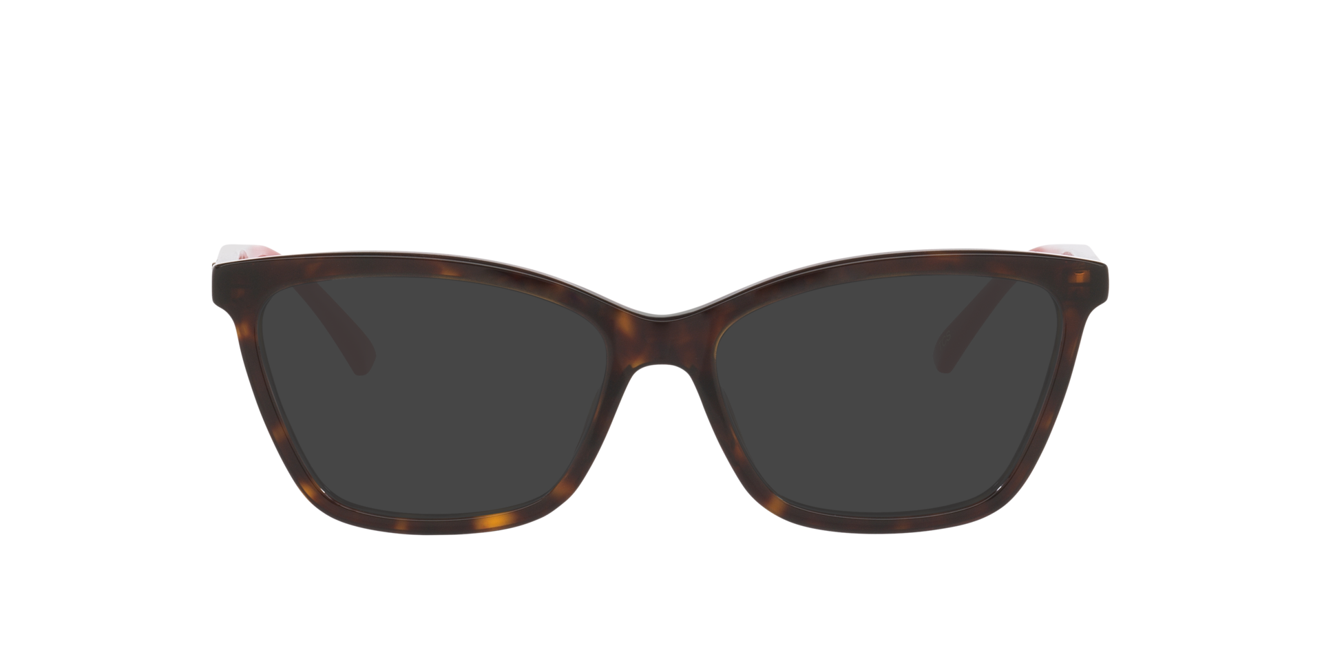 Tortoise GG1989O -  Acetate