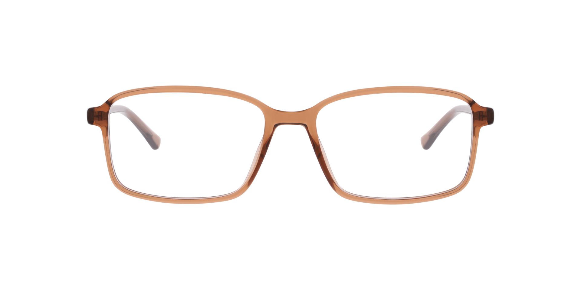Brown Brown Martin - Plastic Brown Brown Martin - Plastic