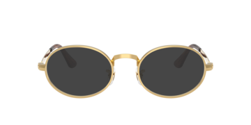 Arista Gold RB3931V -  Metal Sunglasses