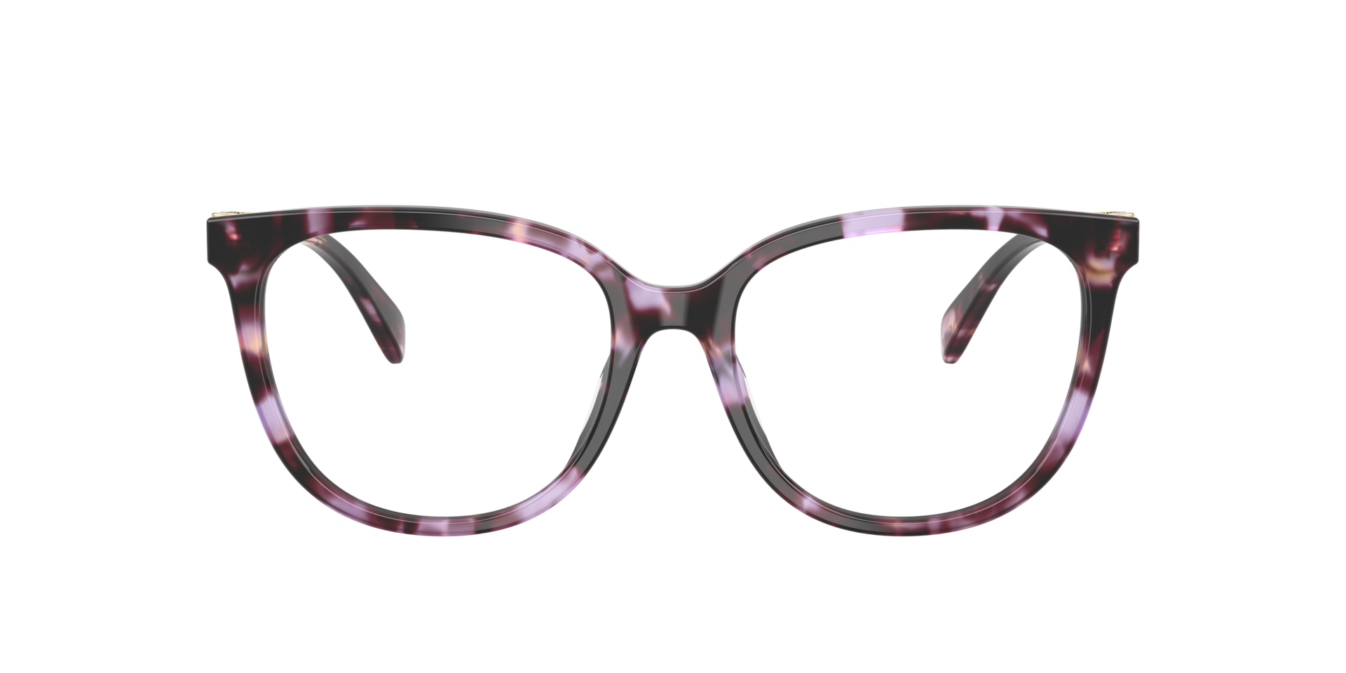 Purple Tortoise HC6260U -  Acetate
