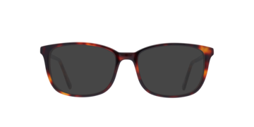 Tortoiseshell Willow -  Acetate Sunglasses