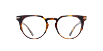 Havana Goldhawk -  Acetate Glasses