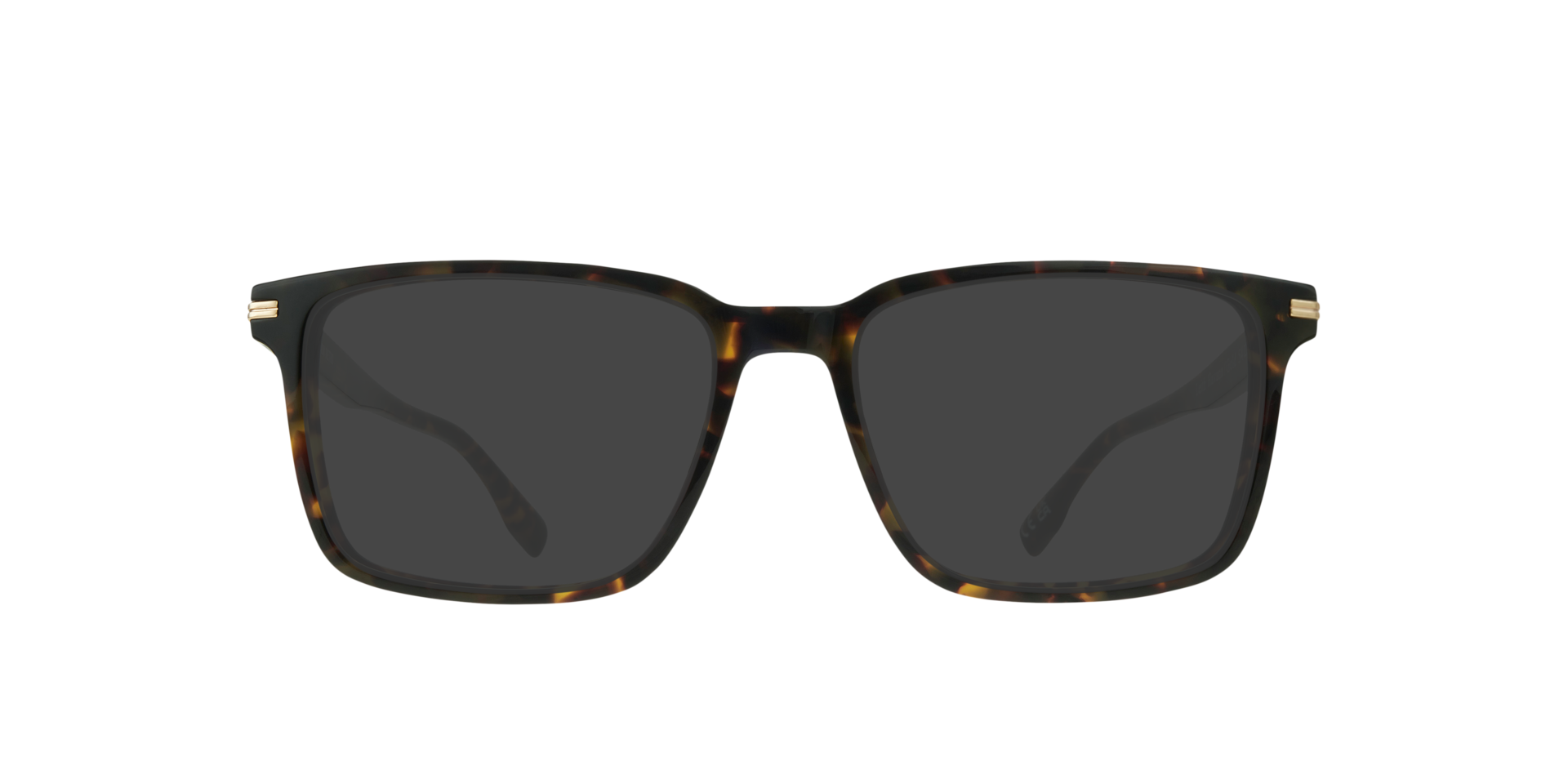Havana/Gold Leith -  Acetate