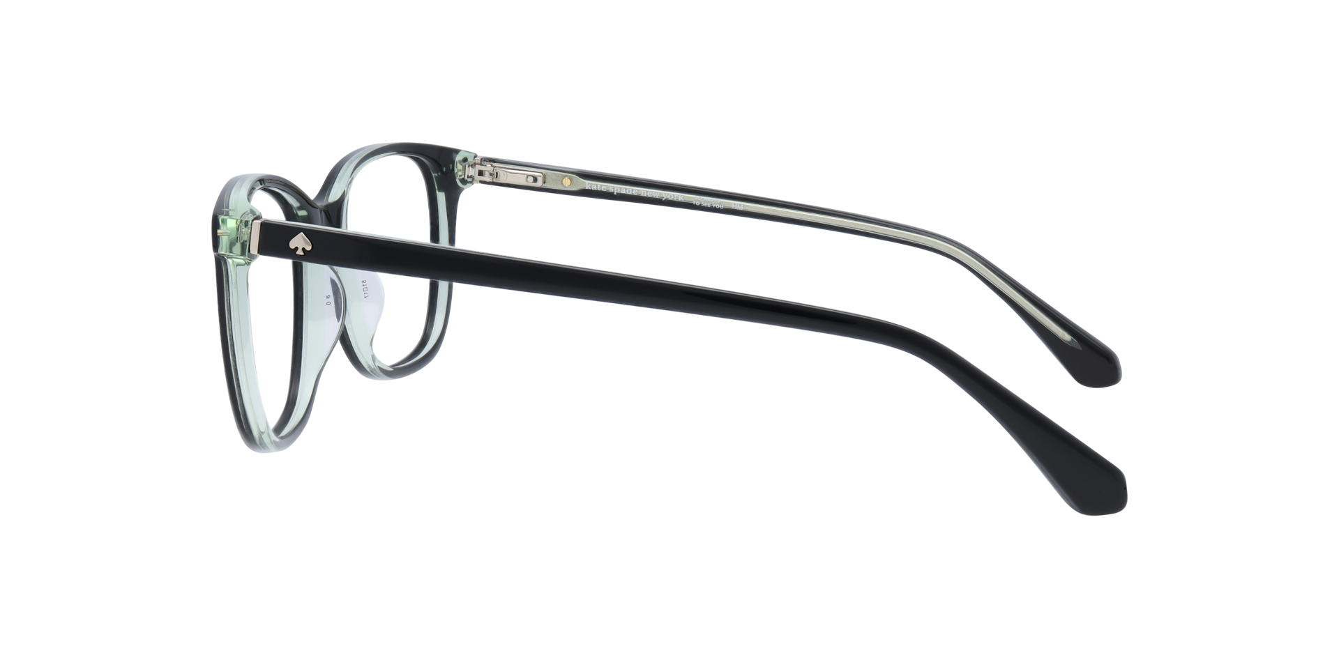 Joliet Black AcetateEyeglass Frames for Glasses Direct, Side View