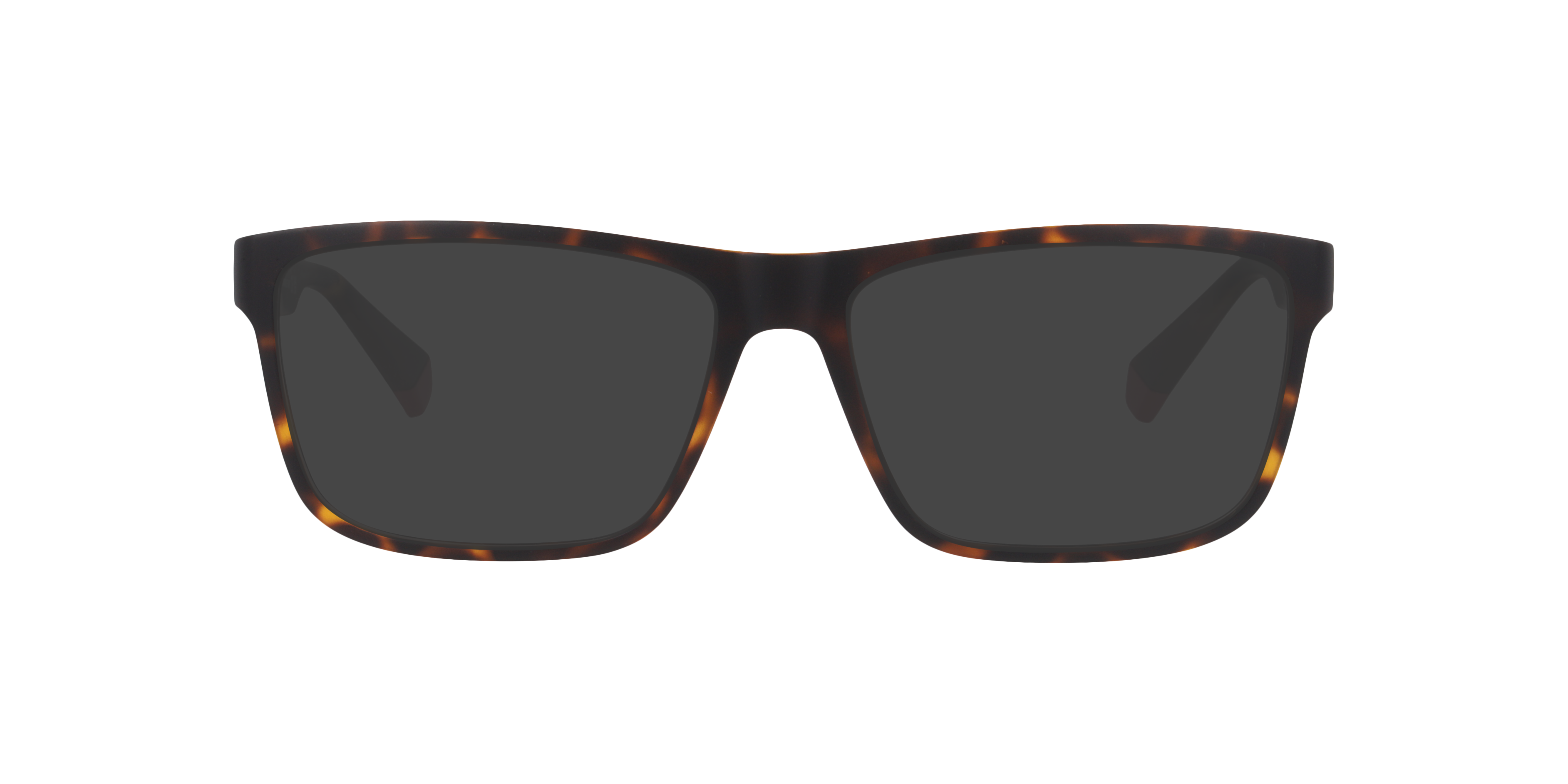 Tortoise PLD D569 -  Plastic
