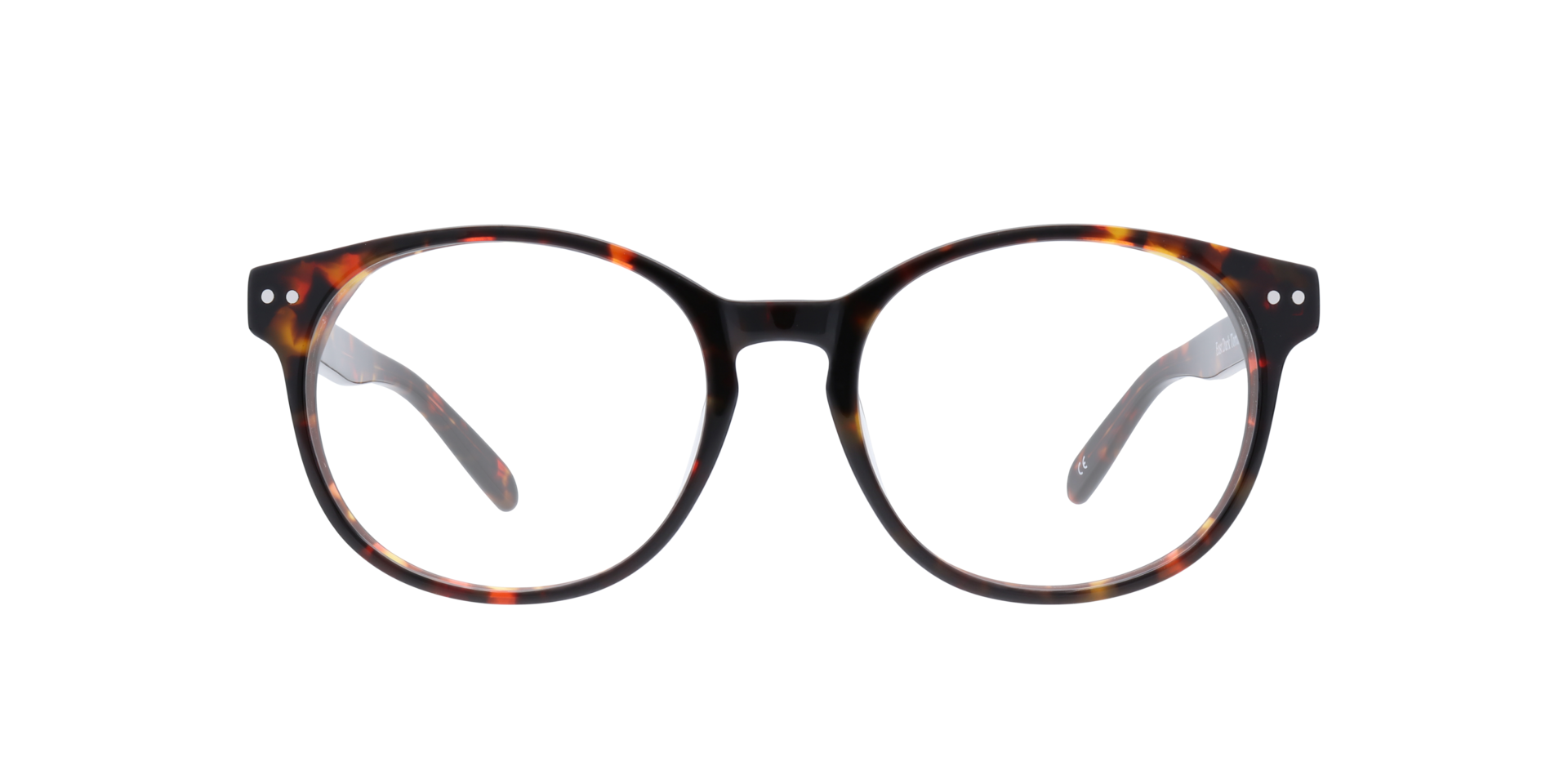 Dark Tortoise East -  Acetate