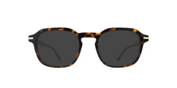 Havana Joel -  Acetate Sunglasses