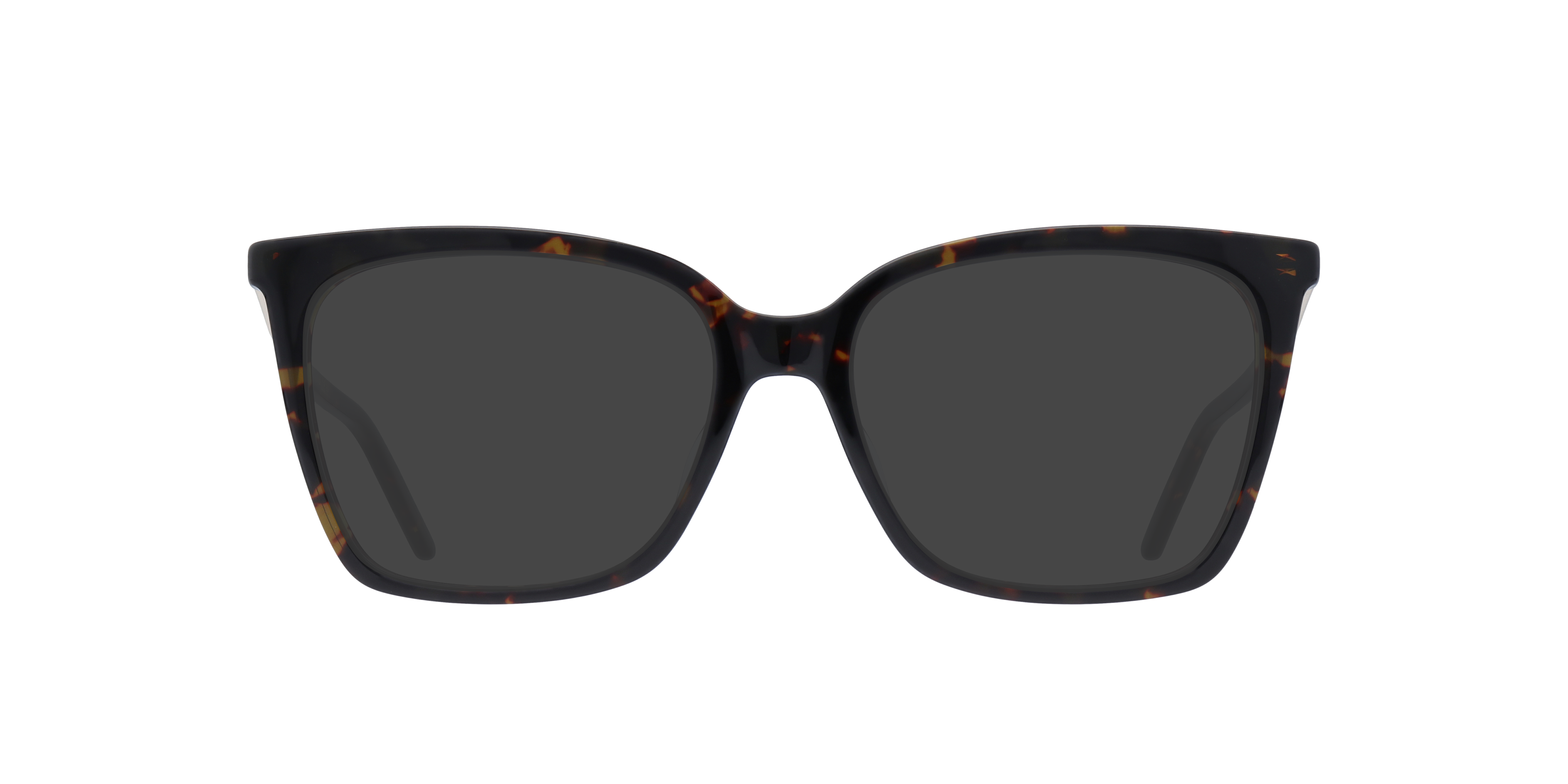 MARC 510 Tortoise AcetateEyeglass Frames for Glasses Direct, with Tinted Lenses