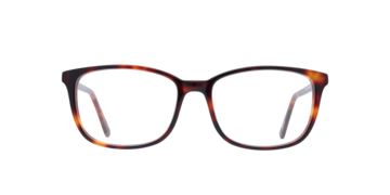 Tortoiseshell Willow -  Acetate Glasses