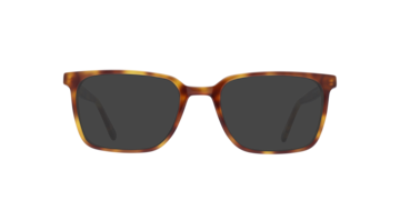 Tortoiseshell Birch -  Acetate Sunglasses