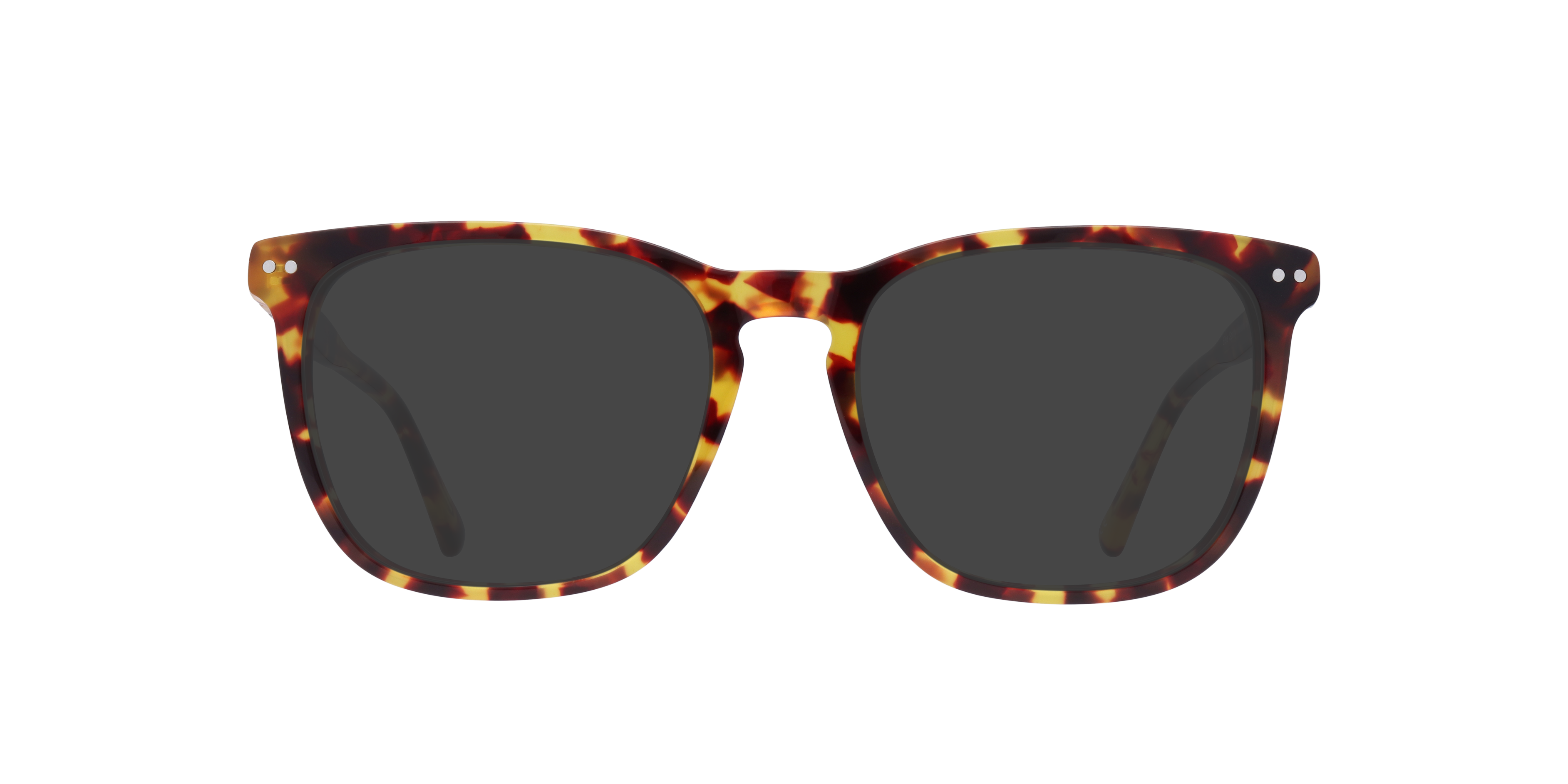 Spotty Havana Elsie -  Acetate