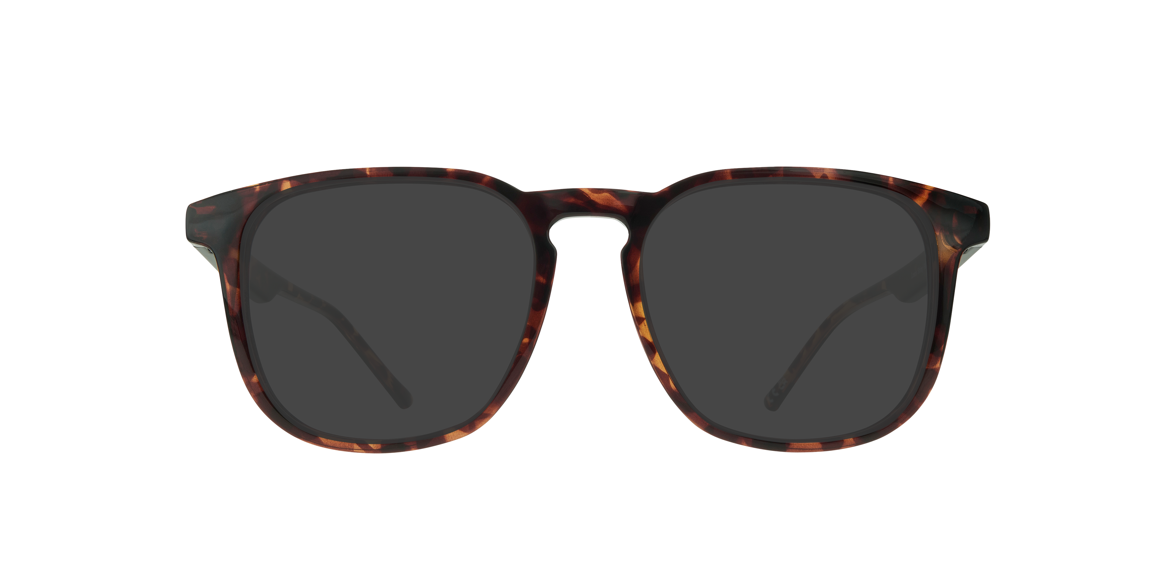 Shiny Havana Louis -  Plastic
