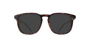 Shiny Havana Louis -  Plastic Sunglasses