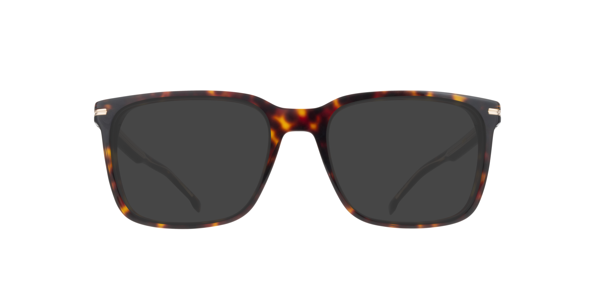 BOSS 1602 Tortoise PlasticEyeglass Frames for Glasses Direct, with Tinted Lenses