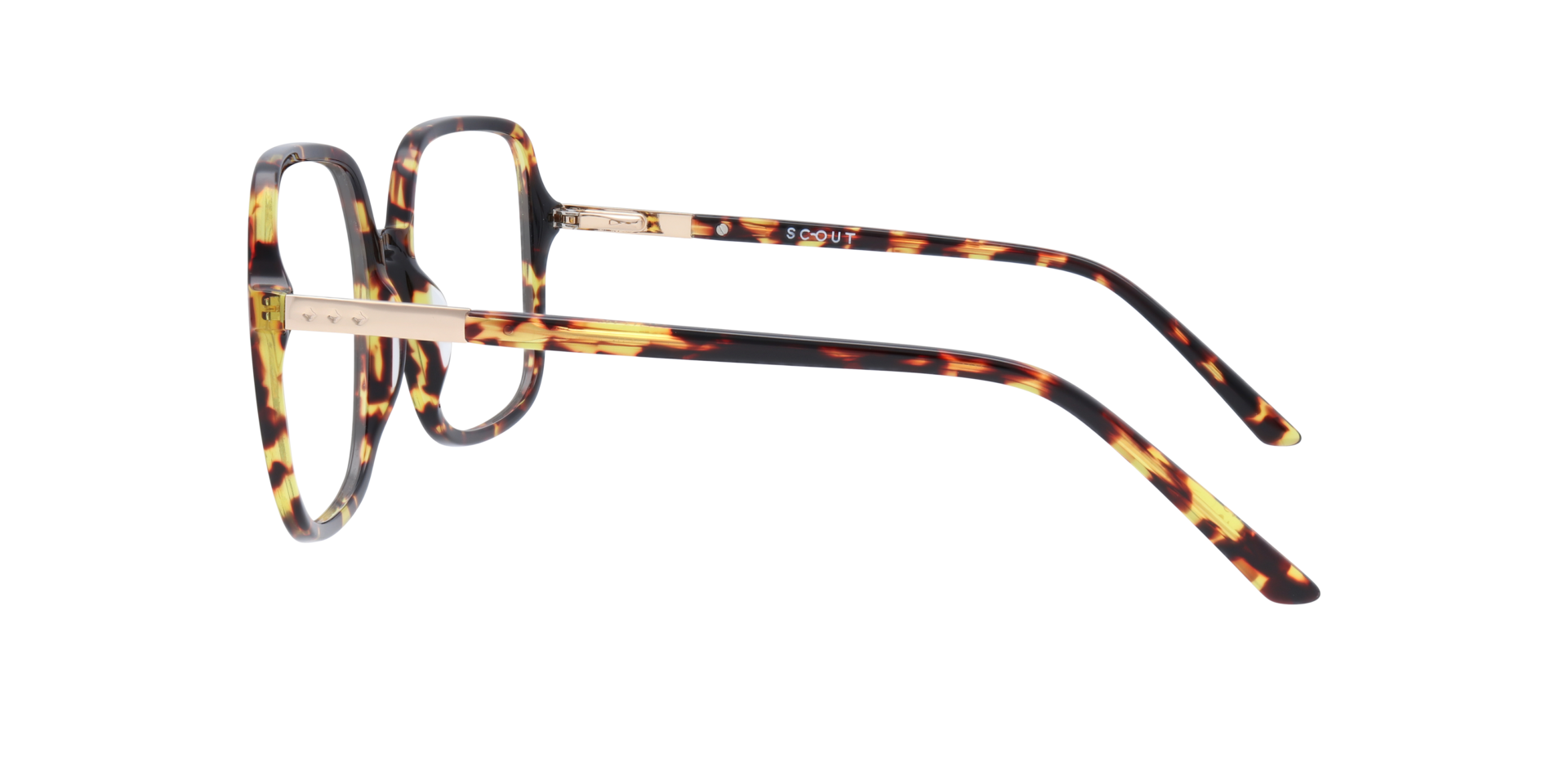 Calina Tortoise AcetateEyeglass Frames for Glasses Direct, Side View