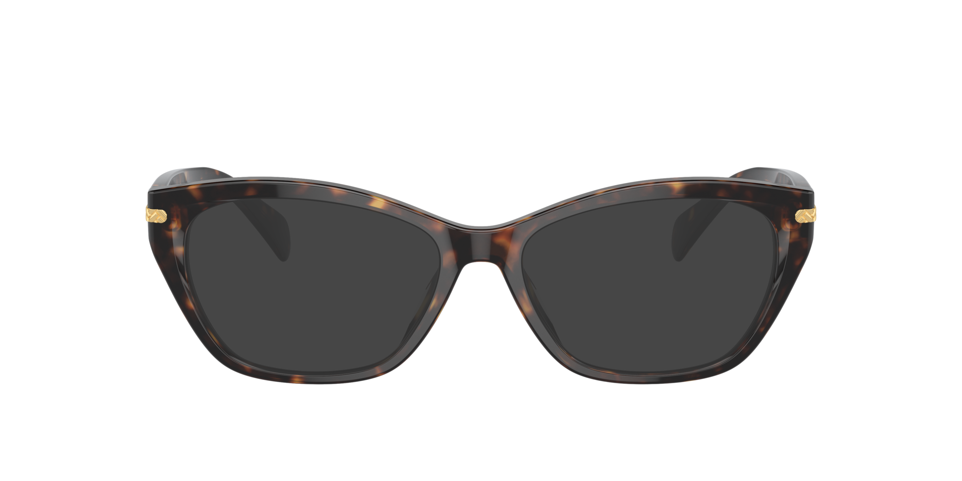 Shiny Dark Havana RA7161U -  Acetate