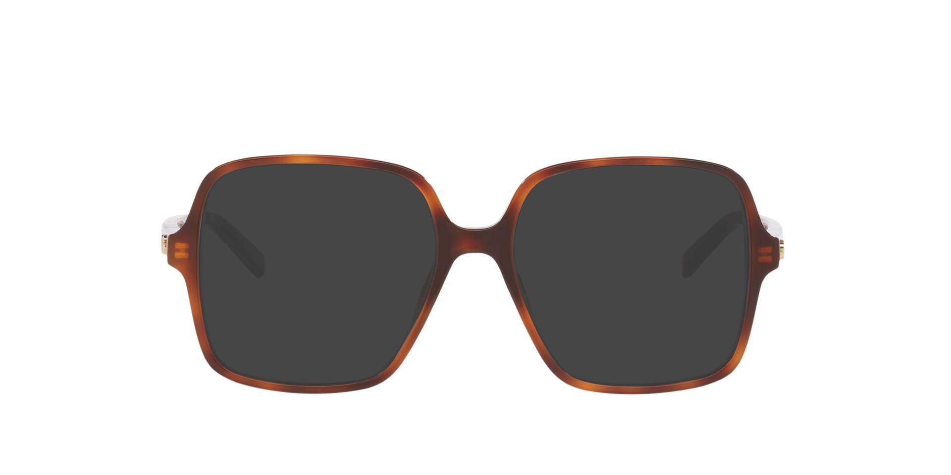 Tortoise GG1994O -  Acetate