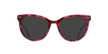 Pink Havana Gretchen -  Acetate Sunglasses