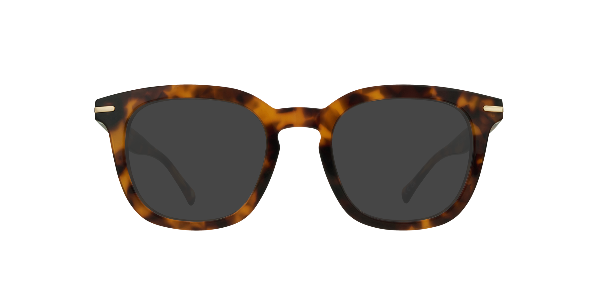 Havana Kew -  Acetate