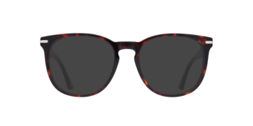 Havana Epping -  Acetate Sunglasses