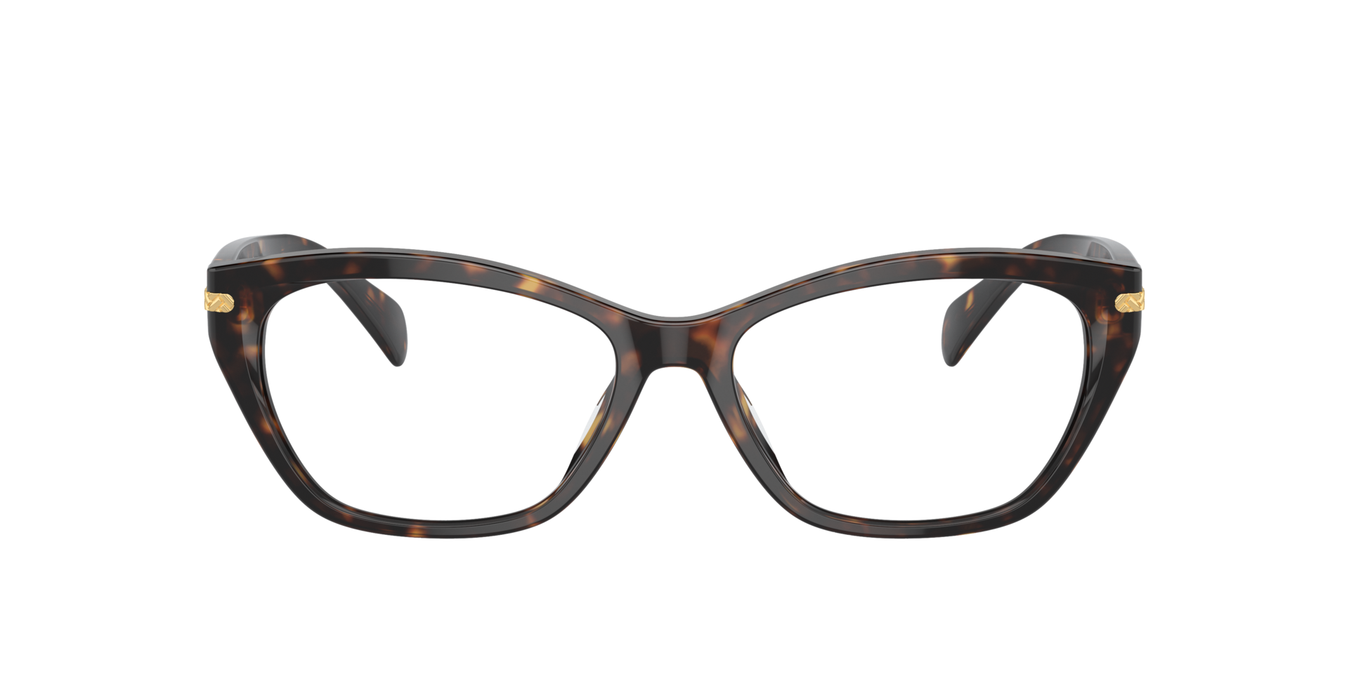 Shiny Dark Havana RA7161U -  Acetate