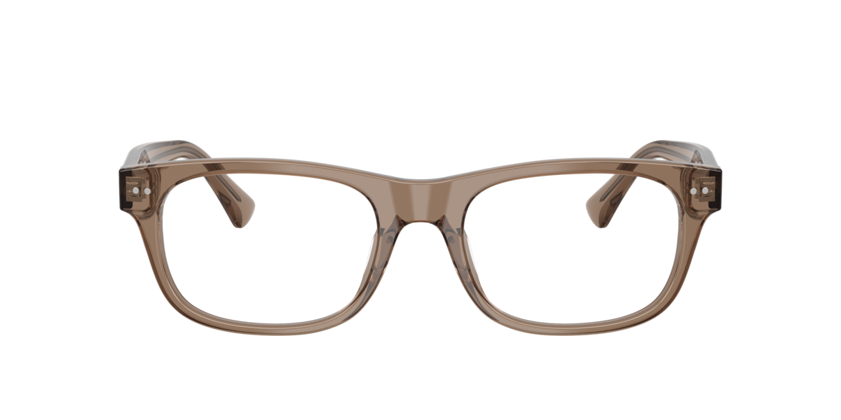 Polo Ralph Lauren Men's Shiny Transparent Brown Taupe Pillow Acetate Eyeglasses Online - Full Rim - Ph2317u - Image 1