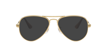 Arista Gold RB3925V -  Metal Sunglasses