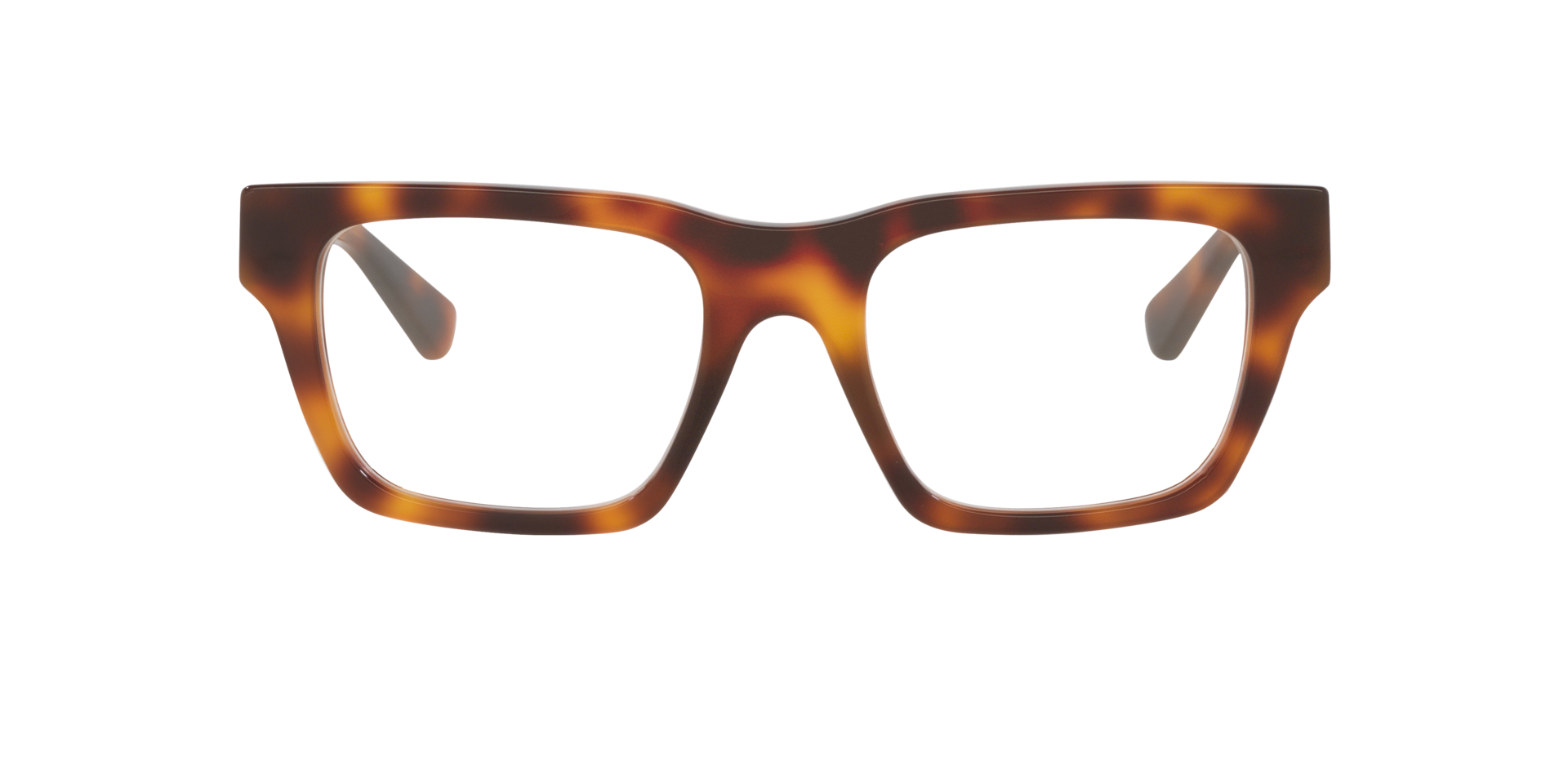 Tortoise Bronze GG1889O -  Acetate