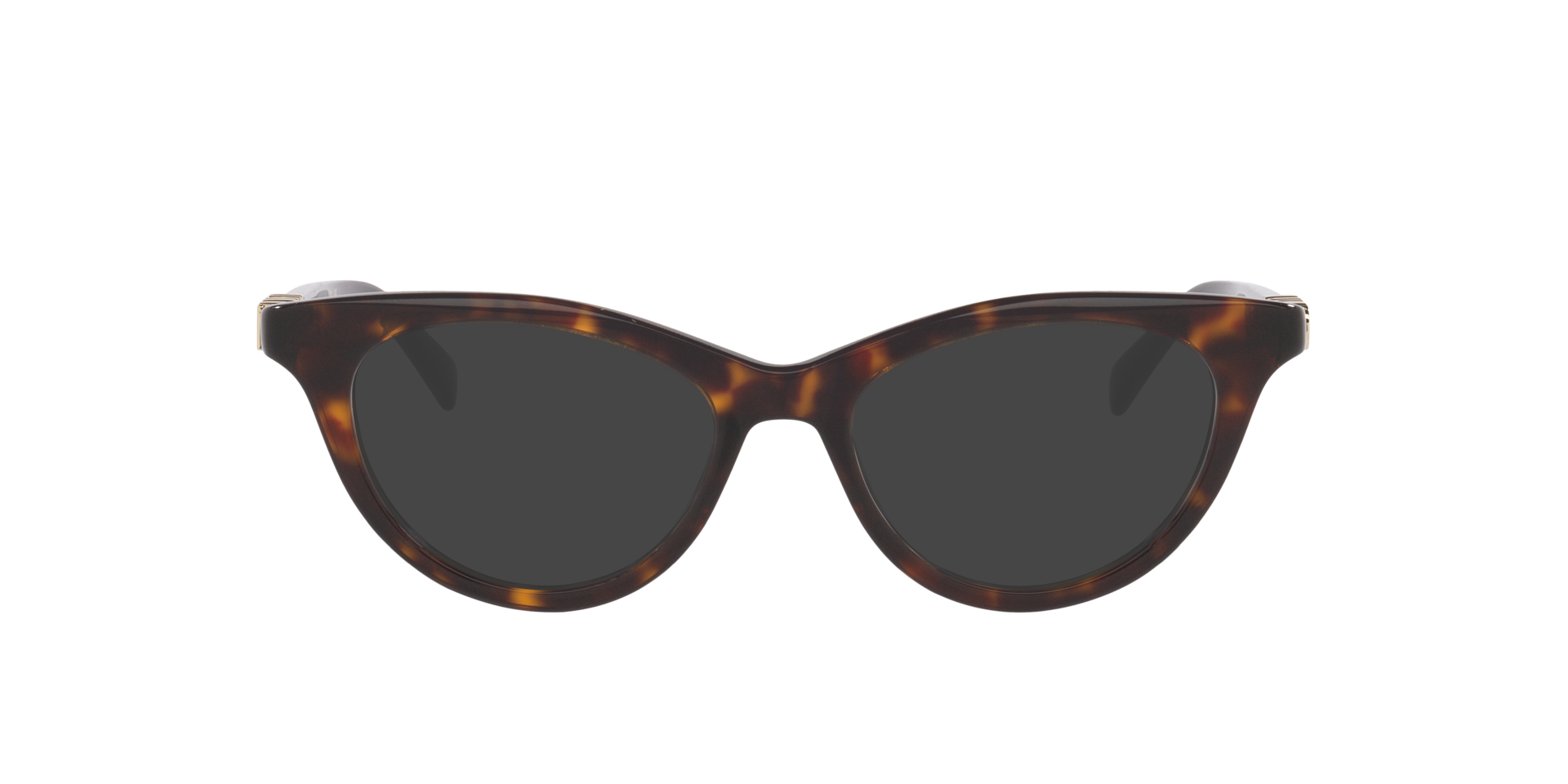 Tortoise Gg2034O -  Acetate