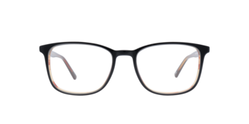 Black Tortoise Grayson -  Acetate Glasses