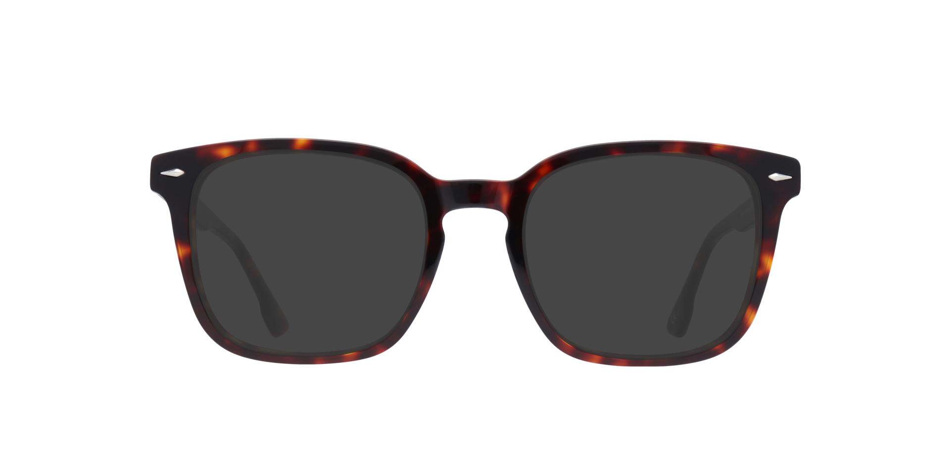Havana Elijah -  Acetate