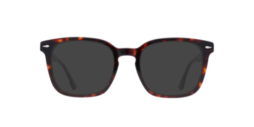 Havana Elijah -  Acetate Sunglasses