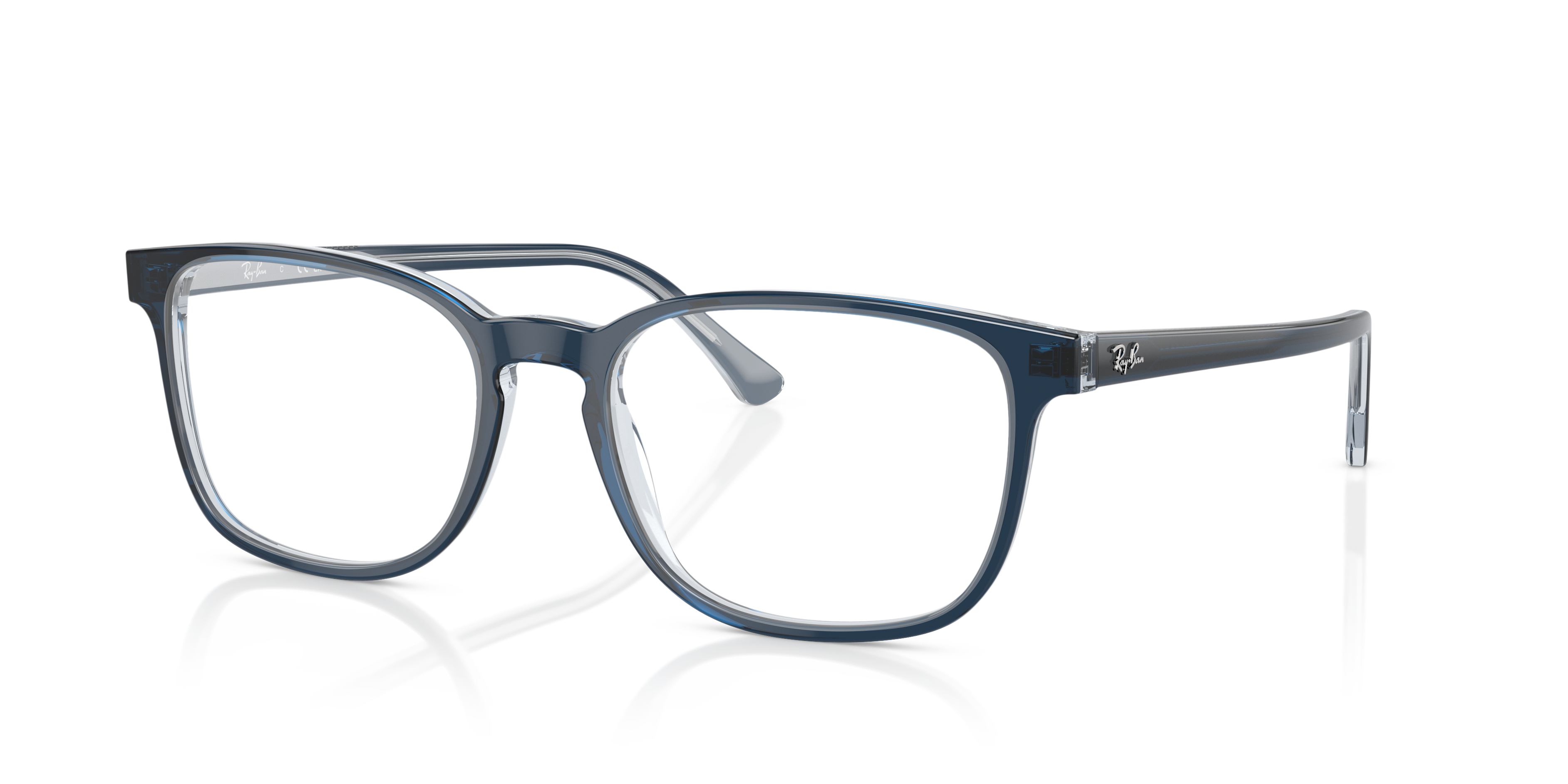 RB5418 Optics