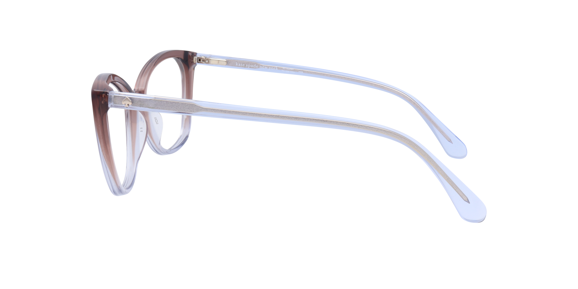 Zahra Brown Blue AcetateEyeglass Frames for Glasses Direct, Side View