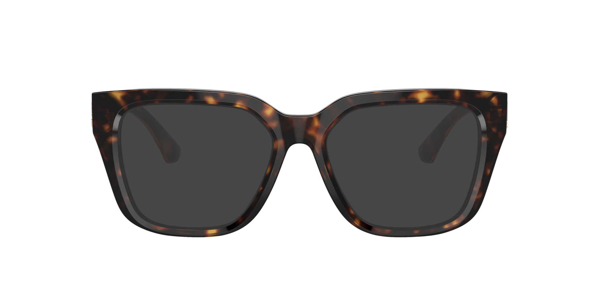 Dark Havana BE2403 -  Acetate